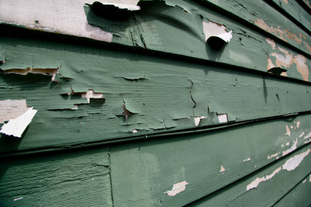 Best Weatherproofing and Sealing  in Bloomer, WI