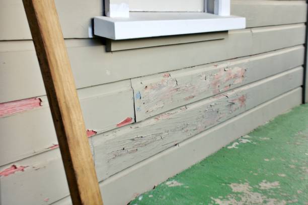 Affordable siding repair and maintenance services in Bloomer, WI